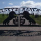 Custom Metal Gates, Handrails & Metal Decks